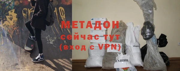 сатива Беломорск