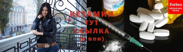 сатива Беломорск