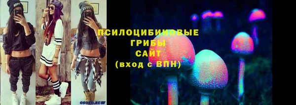 ALPHA PVP Белокуриха