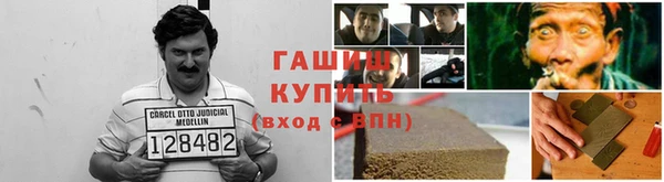 сатива Беломорск