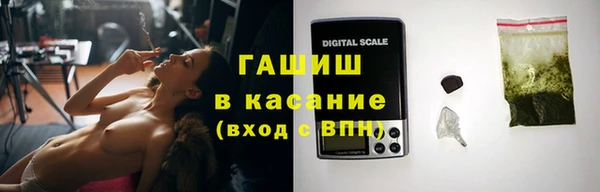сатива Беломорск