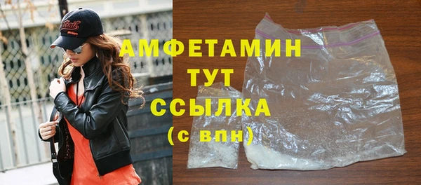 сатива Беломорск