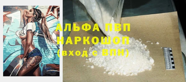 сатива Беломорск