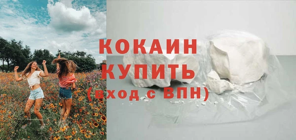 сатива Беломорск
