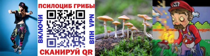 Псилоцибиновые грибы Psilocybine cubensis Волчанск